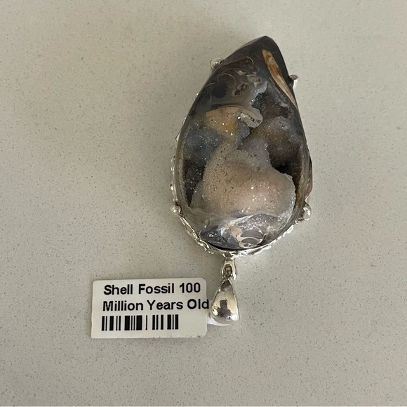 Unisex One of a Kind Shell Fossil 100 Million Years Old Pendant - Picture 11 of 12